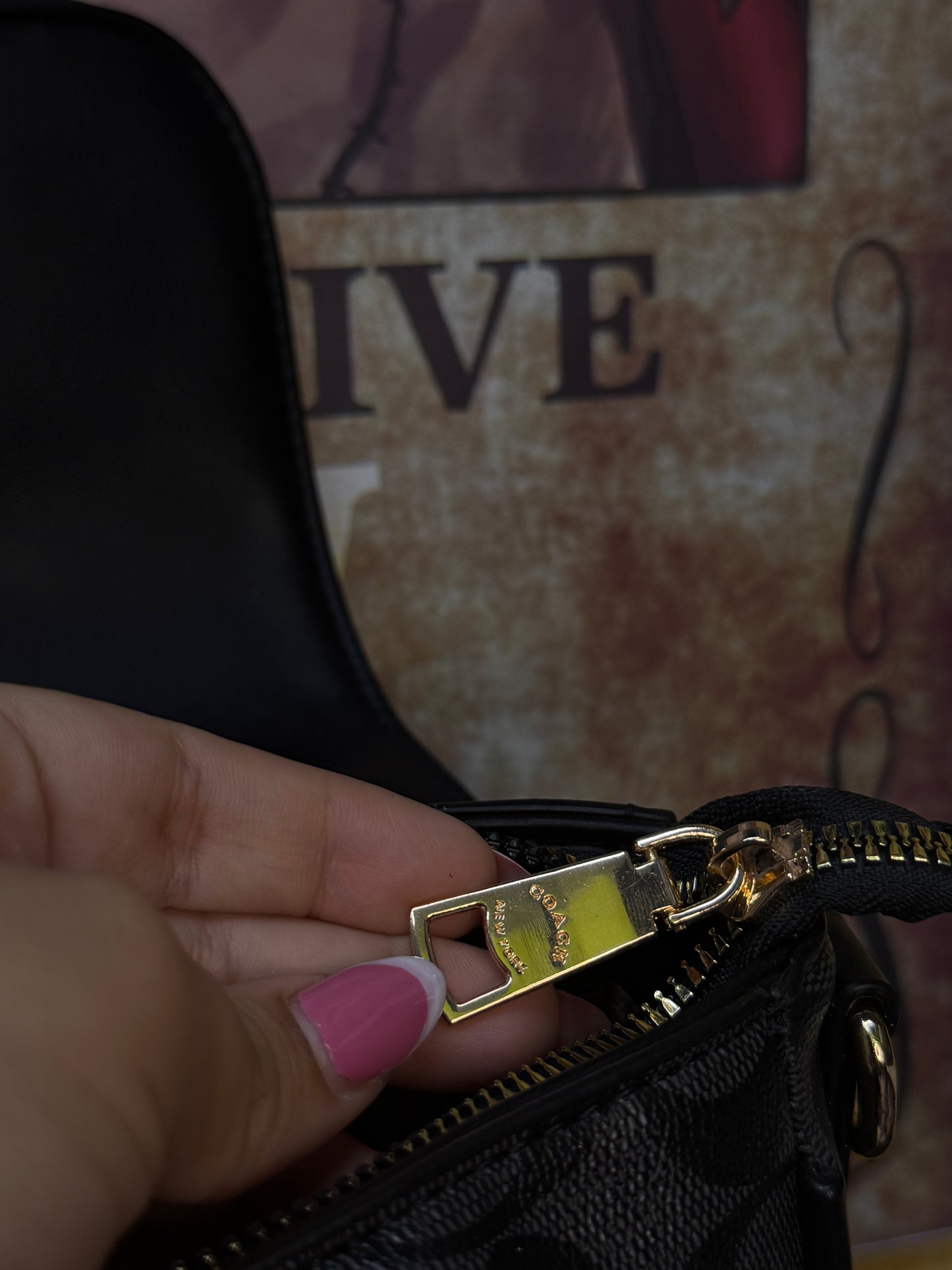 Bolsa coach