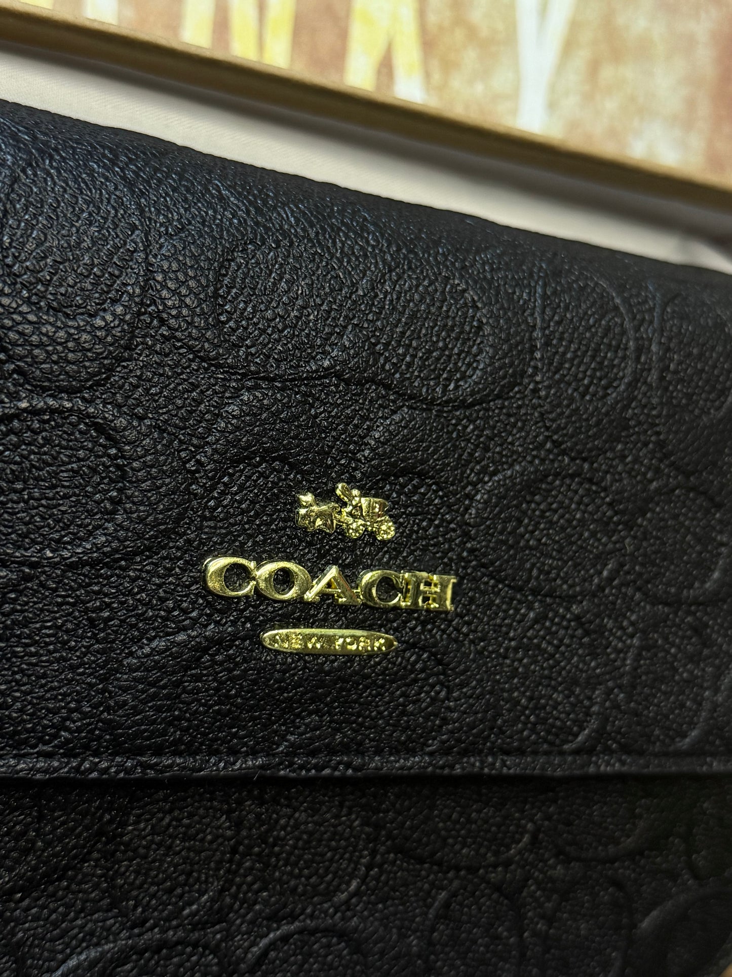 Bolsa coach