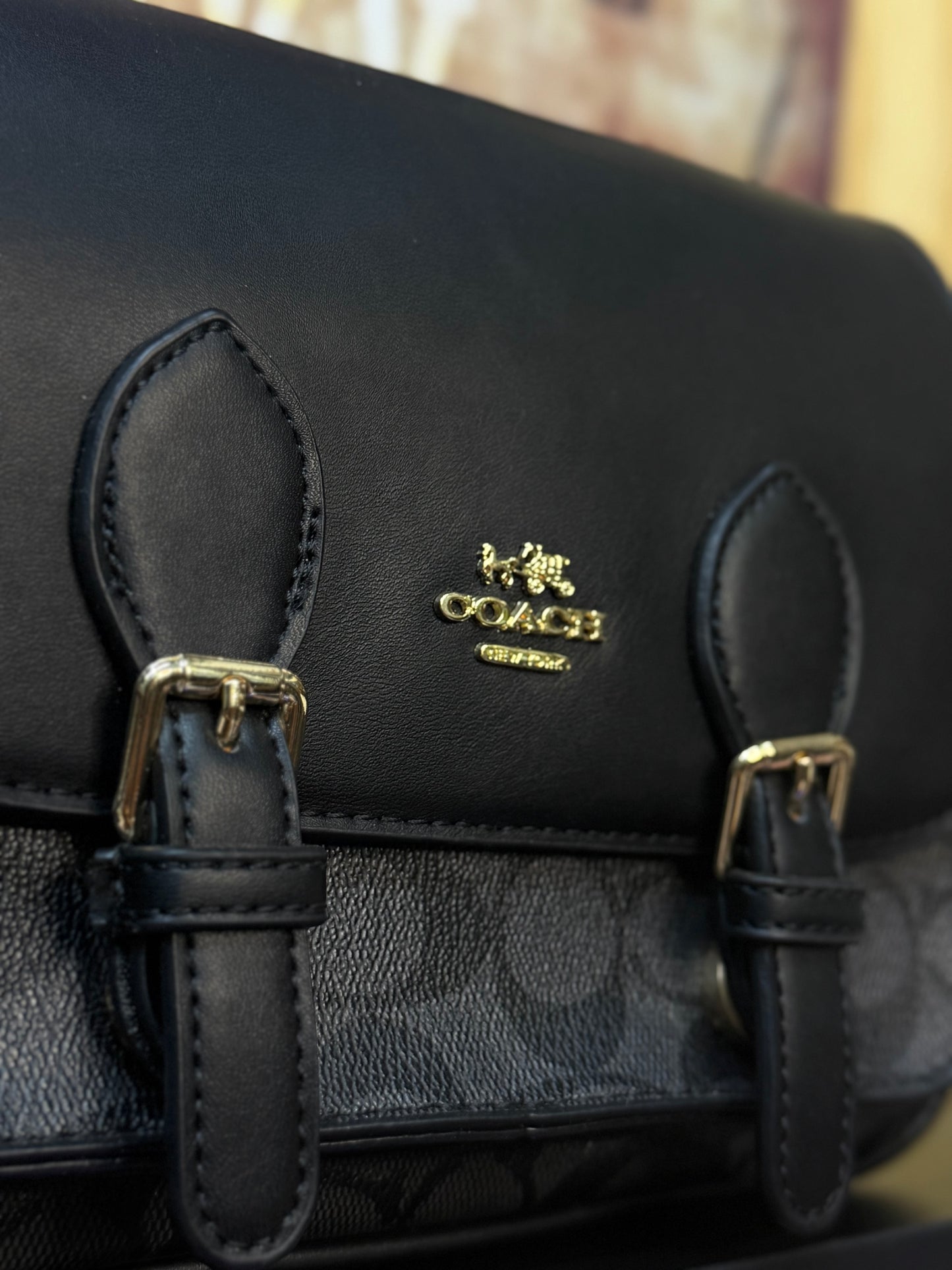 Bolsa coach