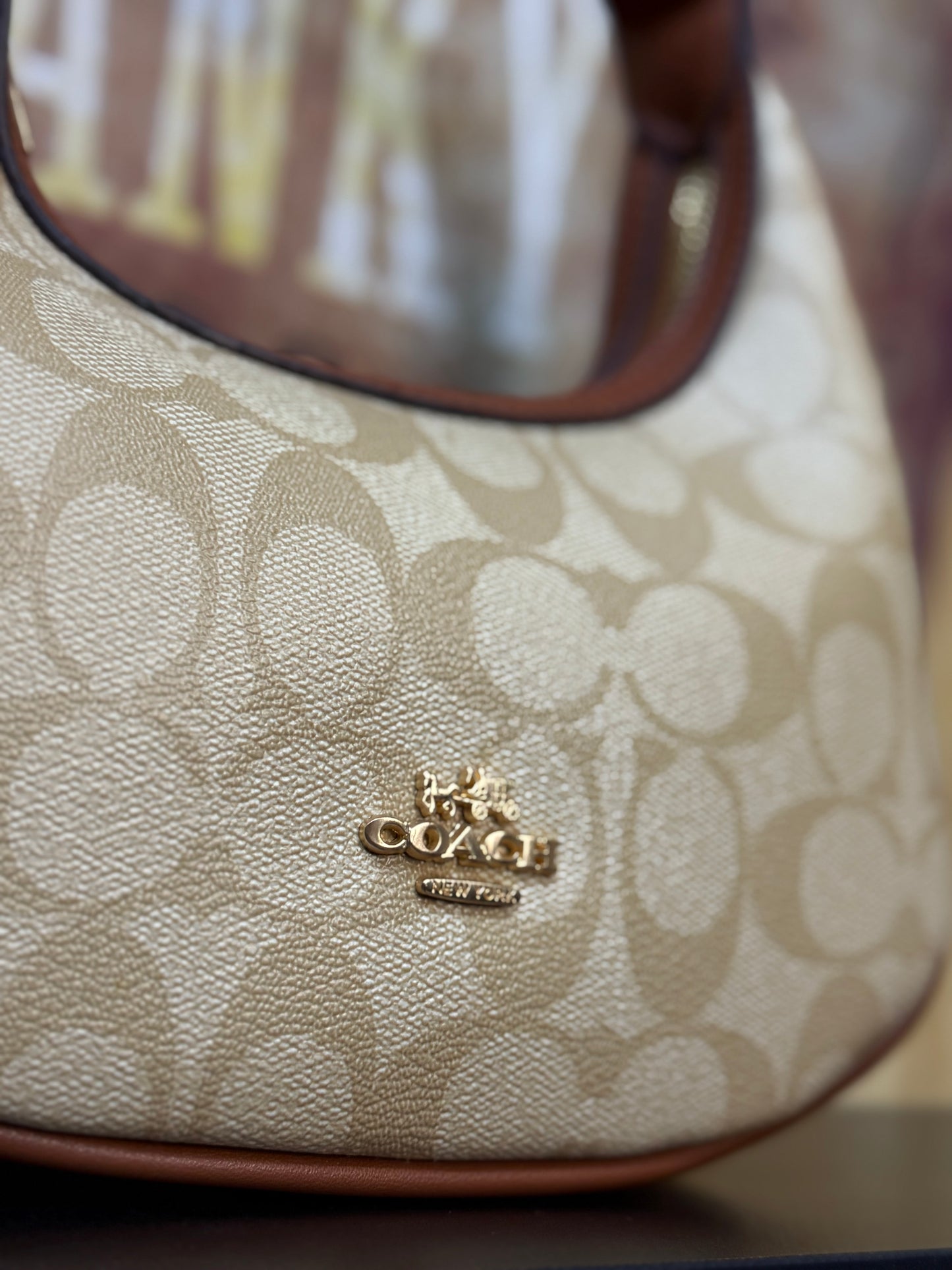 Bolsa coach