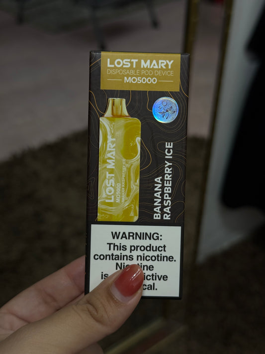 LOST MARY